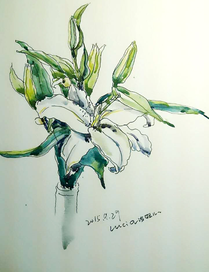 lucia835835的个人主页（背景预览） - 主页背景设置 - 站酷设计师lucia835835原创素材 - 站酷ZCOOL