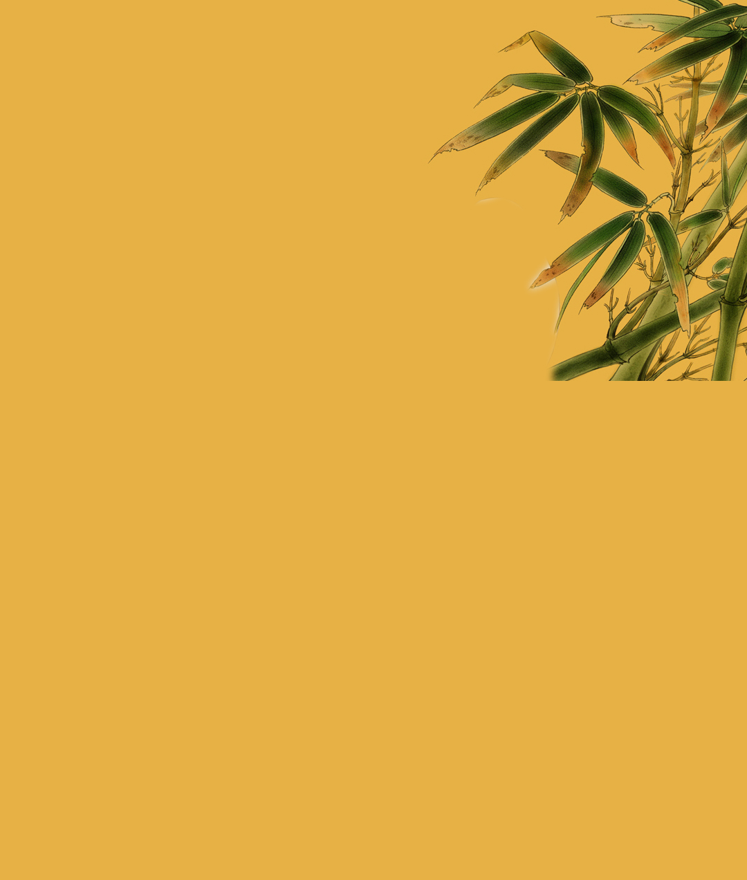 凌粤轩的个人主页（背景预览） - 主页背景设置 - 站酷设计师凌粤轩原创素材 - 站酷ZCOOL