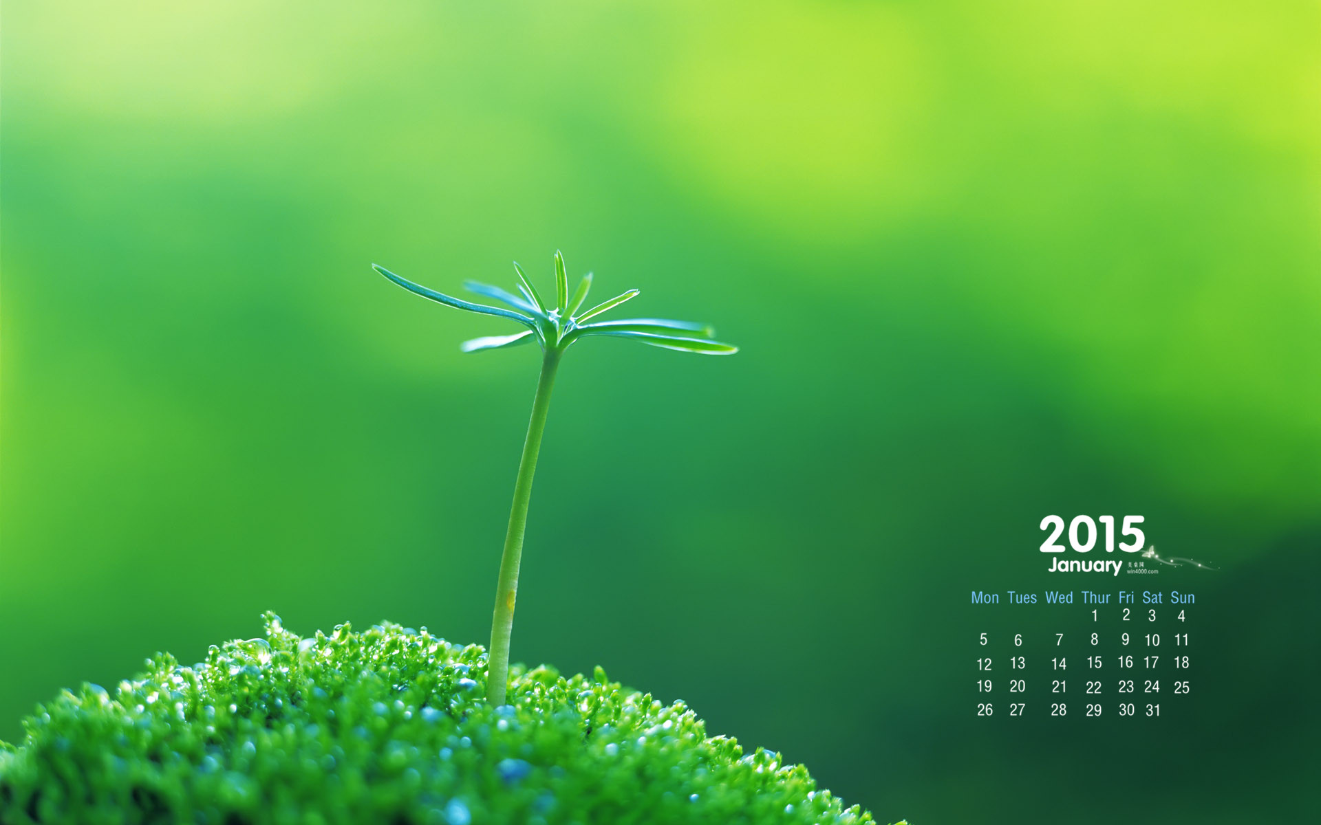 陶花源的个人主页（背景预览） - 主页背景设置 - 站酷设计师陶花源原创素材 - 站酷ZCOOL