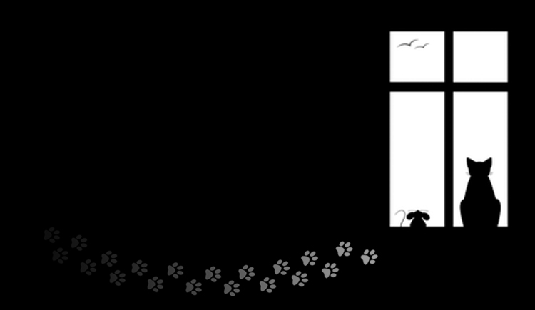 彩梦的个人主页（背景预览） - 主页背景设置 - 站酷设计师彩梦原创素材 - 站酷ZCOOL