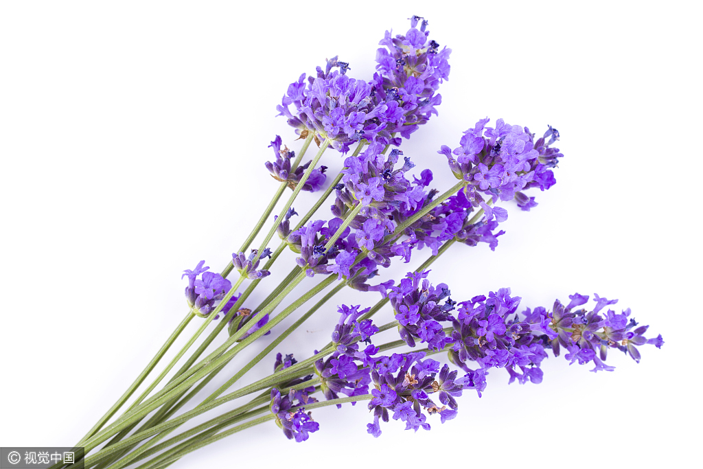 依云coolgirl的个人主页（背景预览） - 主页背景设置 - 站酷设计师依云coolgirl原创素材 - 站酷ZCOOL