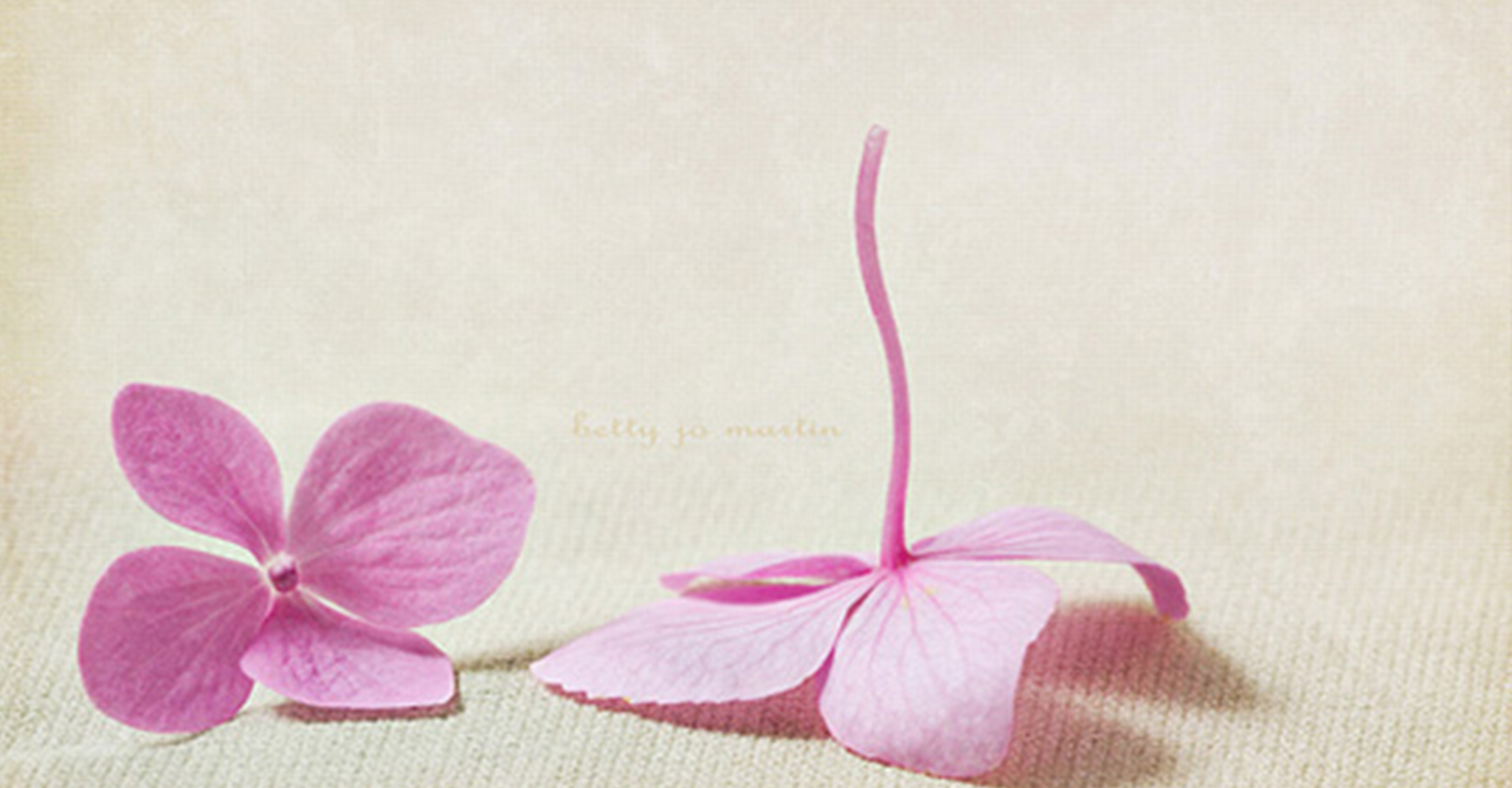 憶夢觴的個人主頁（背景預覽） - 主頁背景設置 - 站酷設計師憶夢觴原創(chuàng)素材 - 站酷ZCOOL