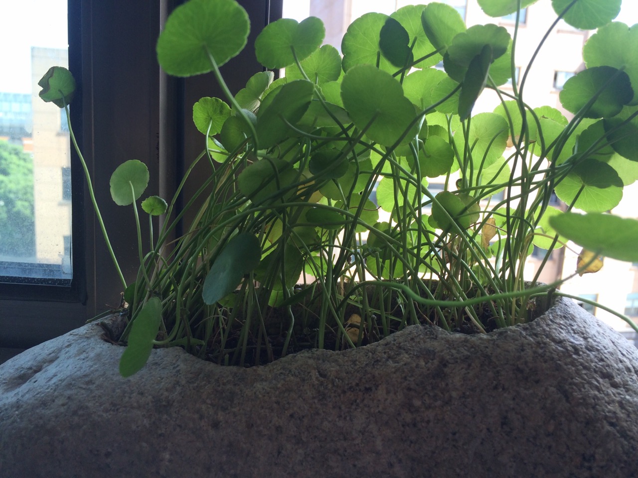 聚沙品牌的個(gè)人主頁（背景預(yù)覽） - 主頁背景設(shè)置 - 站酷設(shè)計(jì)師聚沙品牌原創(chuàng)素材 - 站酷ZCOOL