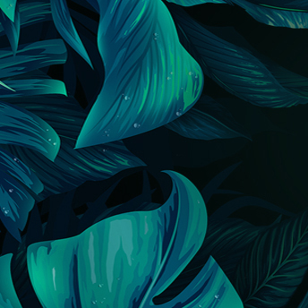 a灰兔子a的个人主页（背景预览） - 主页背景设置 - 站酷设计师a灰兔子a原创素材 - 站酷ZCOOL