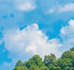 Septemberendscx的个人主页（背景预览） - 主页背景设置 - 站酷设计师Septemberendscx原创素材 - 站酷ZCOOL