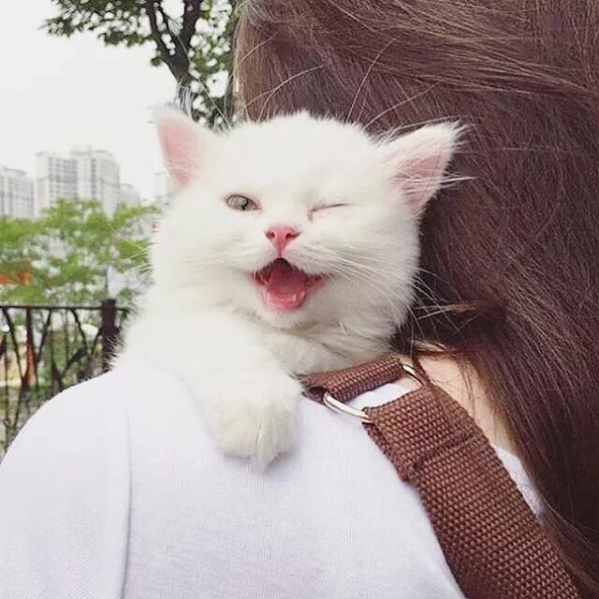 keyinzhang的个人主页（背景预览） - 主页背景设置 - 站酷设计师keyinzhang原创素材 - 站酷ZCOOL