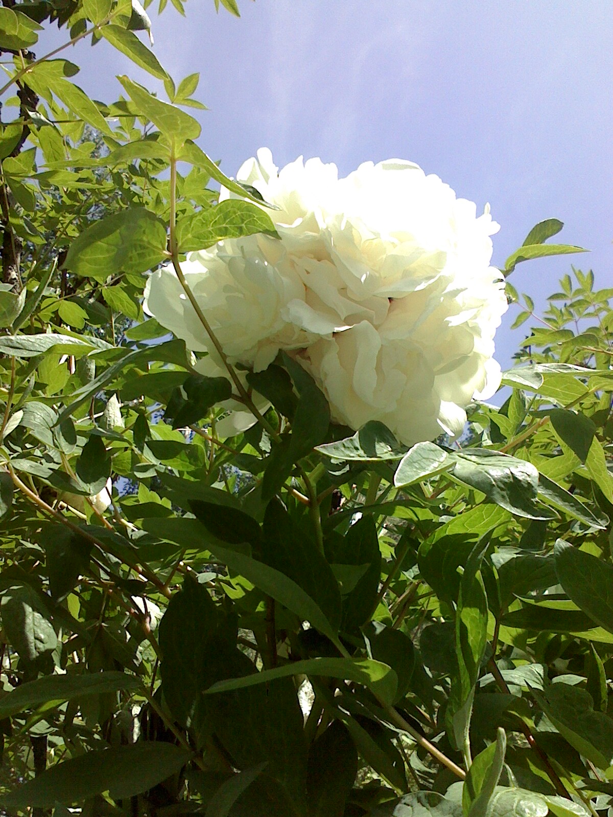 日尧丰色的个人主页（背景预览） - 主页背景设置 - 站酷设计师日尧丰色原创素材 - 站酷ZCOOL