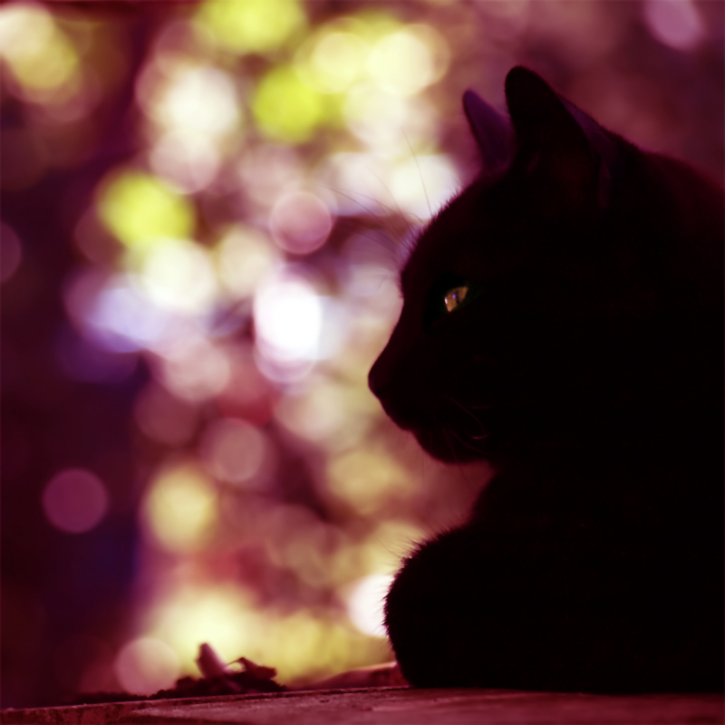 azx912的个人主页（背景预览） - 主页背景设置 - 站酷设计师azx912原创素材 - 站酷ZCOOL