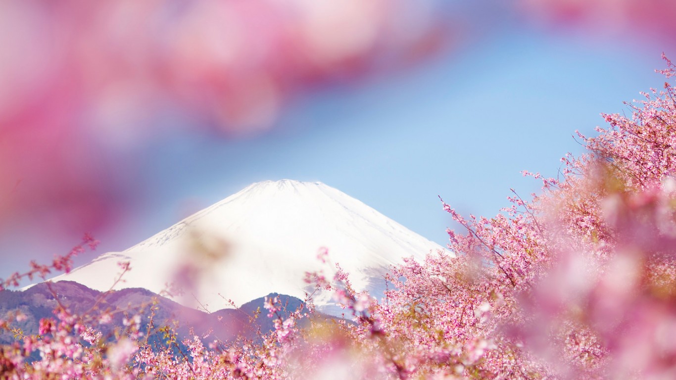 _ZHAOWANLIN的個(gè)人主頁(yè)（背景預(yù)覽） - 主頁(yè)背景設(shè)置 - 站酷設(shè)計(jì)師_ZHAOWANLIN原創(chuàng)素材 - 站酷ZCOOL