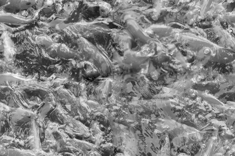 Goldenbin的个人主页（背景预览） - 主页背景设置 - 站酷设计师Goldenbin原创素材 - 站酷ZCOOL