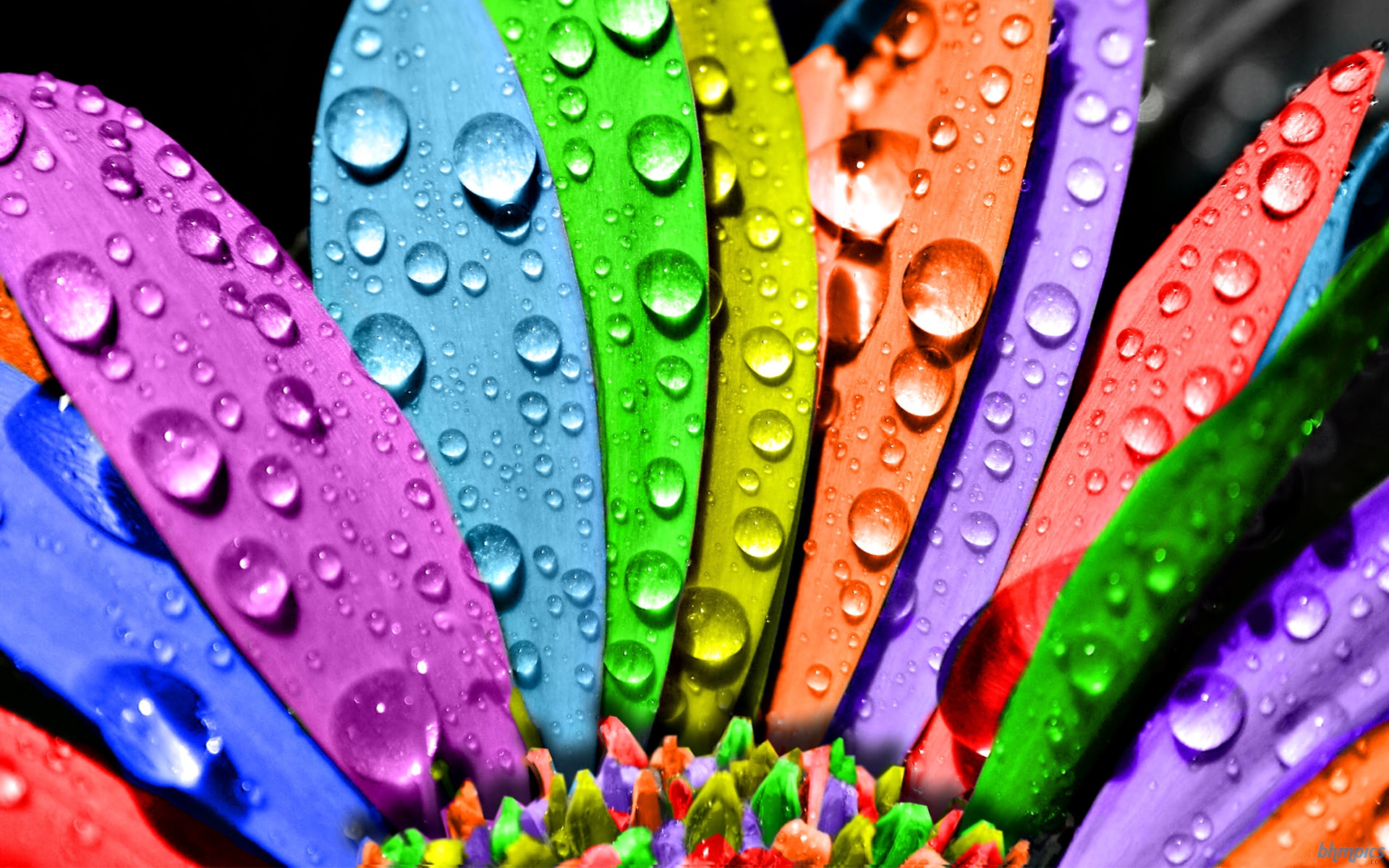 天然野生大熊猫的个人主页（背景预览） - 主页背景设置 - 站酷设计师天然野生大熊猫原创素材 - 站酷ZCOOL