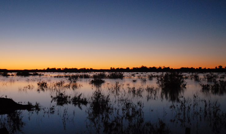 nuno的个人主页（背景预览） - 主页背景设置 - 站酷设计师nuno原创素材 - 站酷ZCOOL