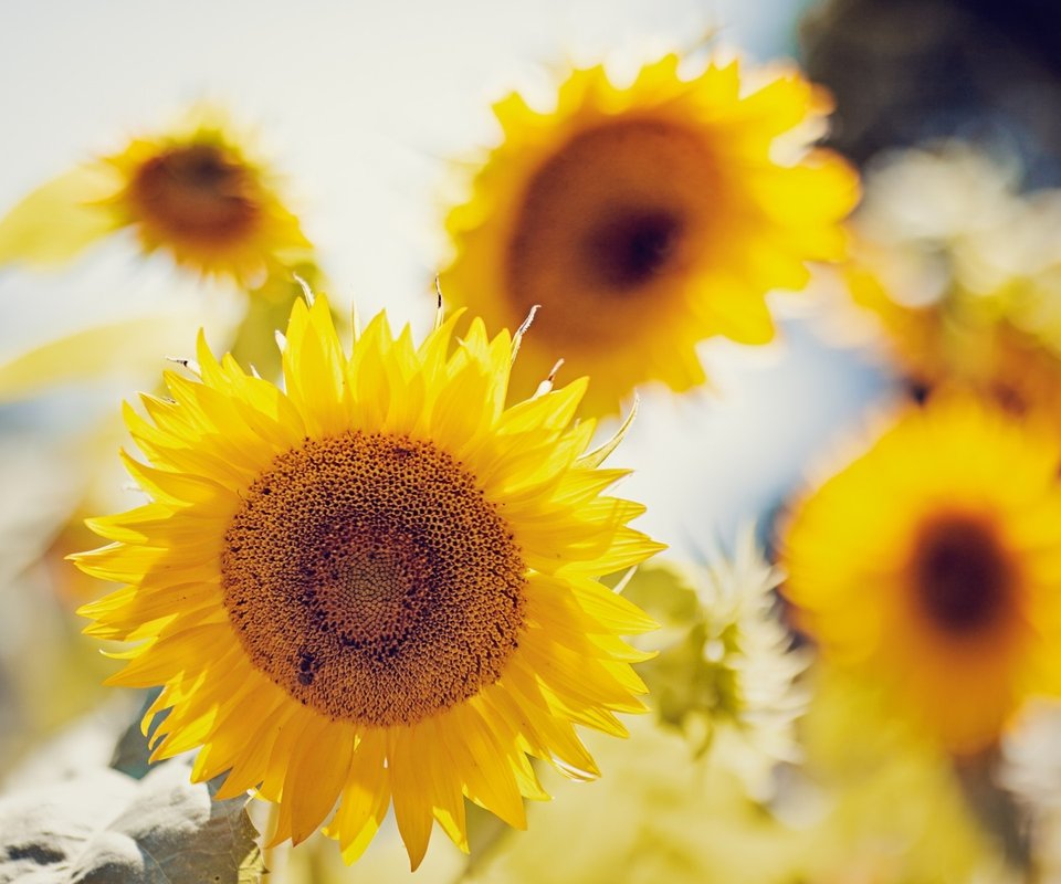 為啥拉勾還上吊的個人主頁（背景預覽） - 主頁背景設置 - 站酷設計師為啥拉勾還上吊原創(chuàng)素材 - 站酷ZCOOL