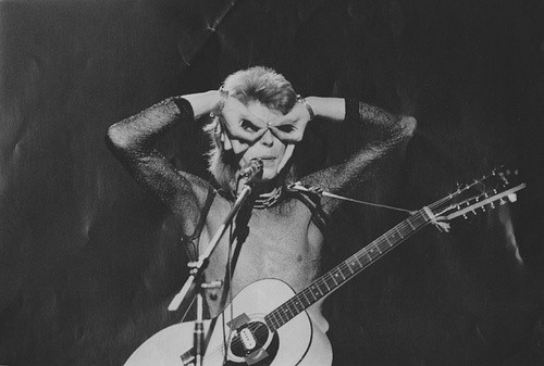 毒Paper的個(gè)人主頁（背景預(yù)覽） - 主頁背景設(shè)置 - 站酷設(shè)計(jì)師毒Paper原創(chuàng)素材 - 站酷ZCOOL