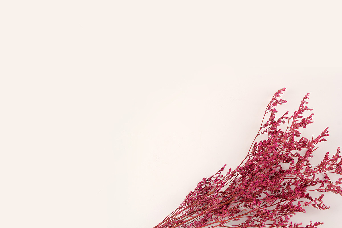 小清新小碎花的个人主页（背景预览） - 主页背景设置 - 站酷设计师小清新小碎花原创素材 - 站酷ZCOOL