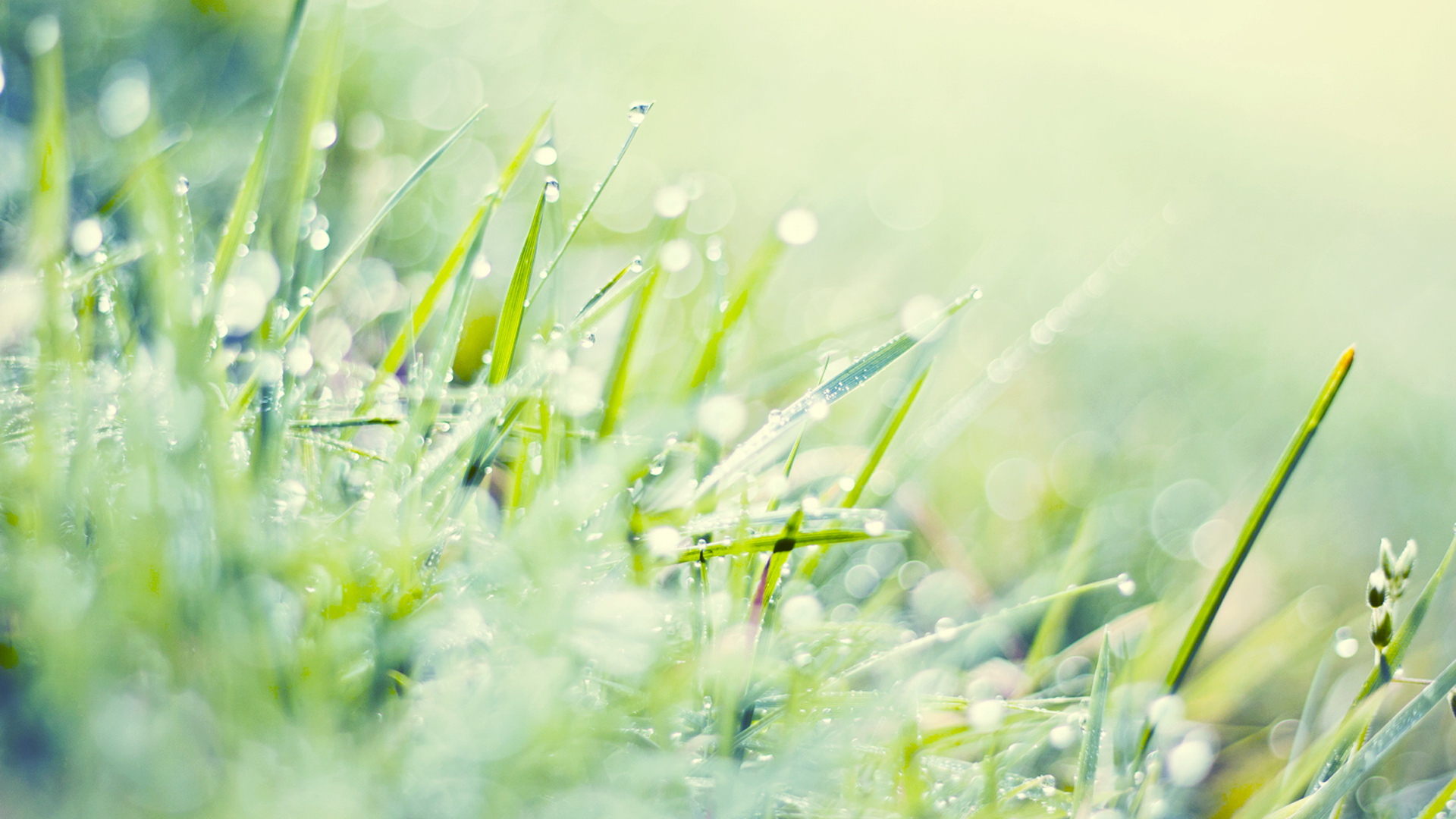 時(shí)間沉默的個(gè)人主頁(yè)（背景預(yù)覽） - 主頁(yè)背景設(shè)置 - 站酷設(shè)計(jì)師時(shí)間沉默原創(chuàng)素材 - 站酷ZCOOL