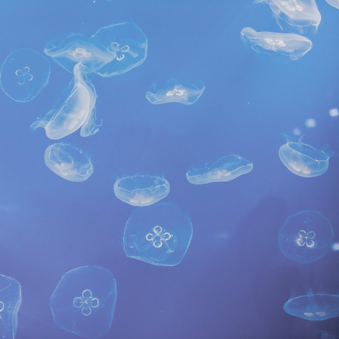 junjun_janet的個人主頁（背景預(yù)覽） - 主頁背景設(shè)置 - 站酷設(shè)計師junjun_janet原創(chuàng)素材 - 站酷ZCOOL