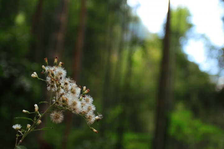 斯纳默肉的个人主页（背景预览） - 主页背景设置 - 站酷设计师斯纳默肉原创素材 - 站酷ZCOOL