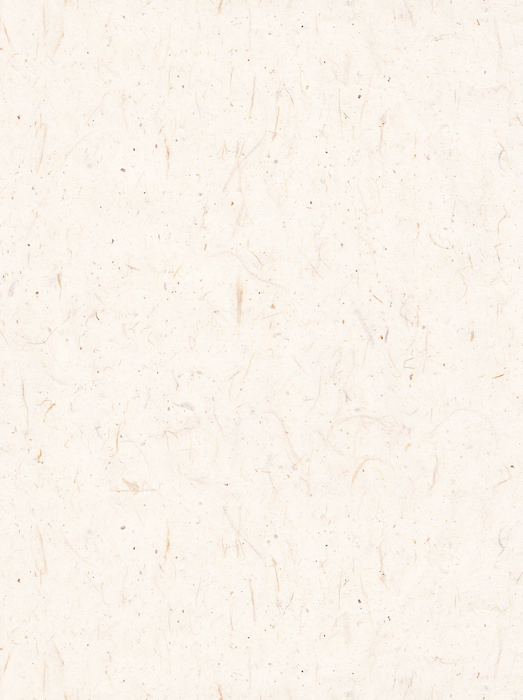 飞鸟fia的个人主页（背景预览） - 主页背景设置 - 站酷设计师飞鸟fia原创素材 - 站酷ZCOOL