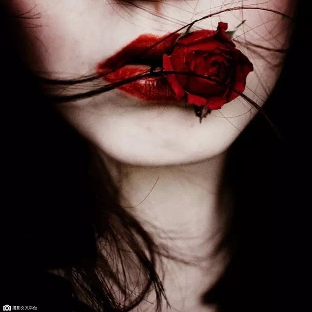 清风又玉露的个人主页（背景预览） - 主页背景设置 - 站酷设计师清风又玉露原创素材 - 站酷ZCOOL