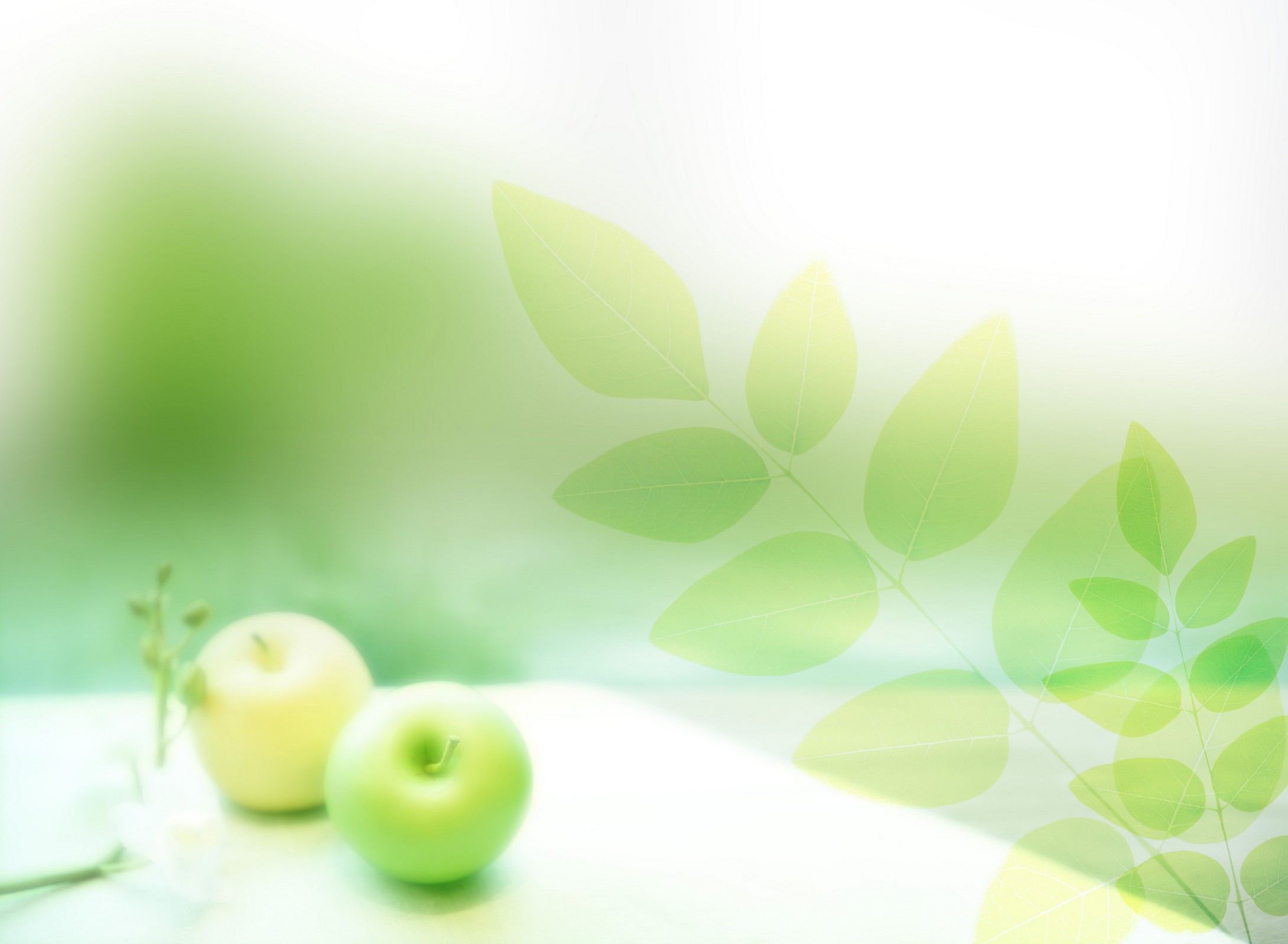 dolphinhou的个人主页（背景预览） - 主页背景设置 - 站酷设计师dolphinhou原创素材 - 站酷ZCOOL