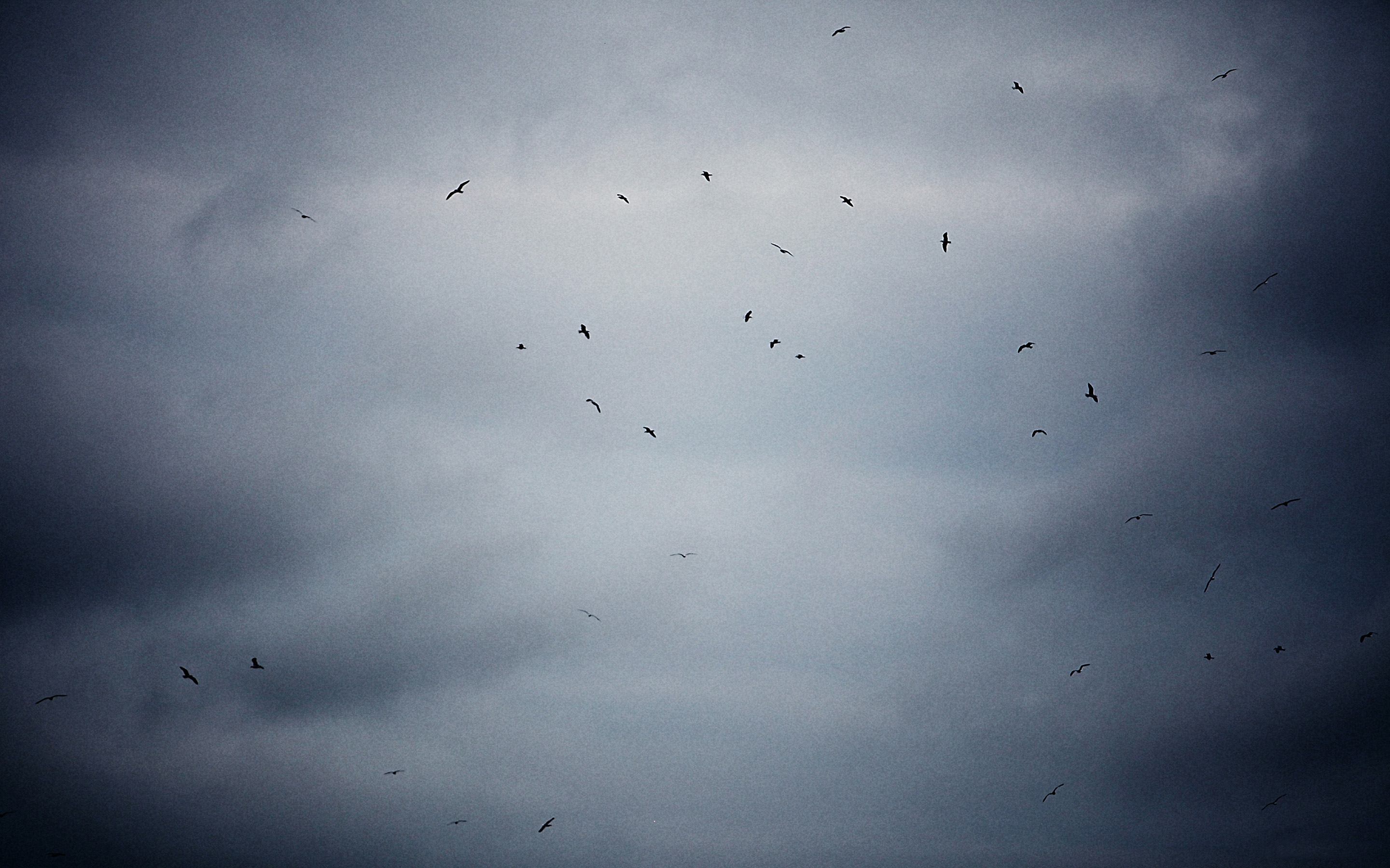 簡(jiǎn)北的個(gè)人主頁(yè)（背景預(yù)覽） - 主頁(yè)背景設(shè)置 - 站酷設(shè)計(jì)師簡(jiǎn)北原創(chuàng)素材 - 站酷ZCOOL