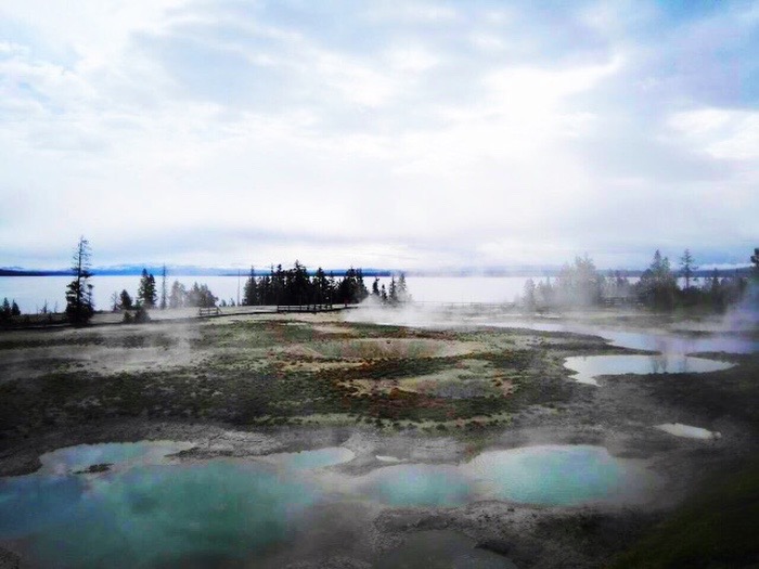莳蕴的个人主页（背景预览） - 主页背景设置 - 站酷设计师莳蕴原创素材 - 站酷ZCOOL