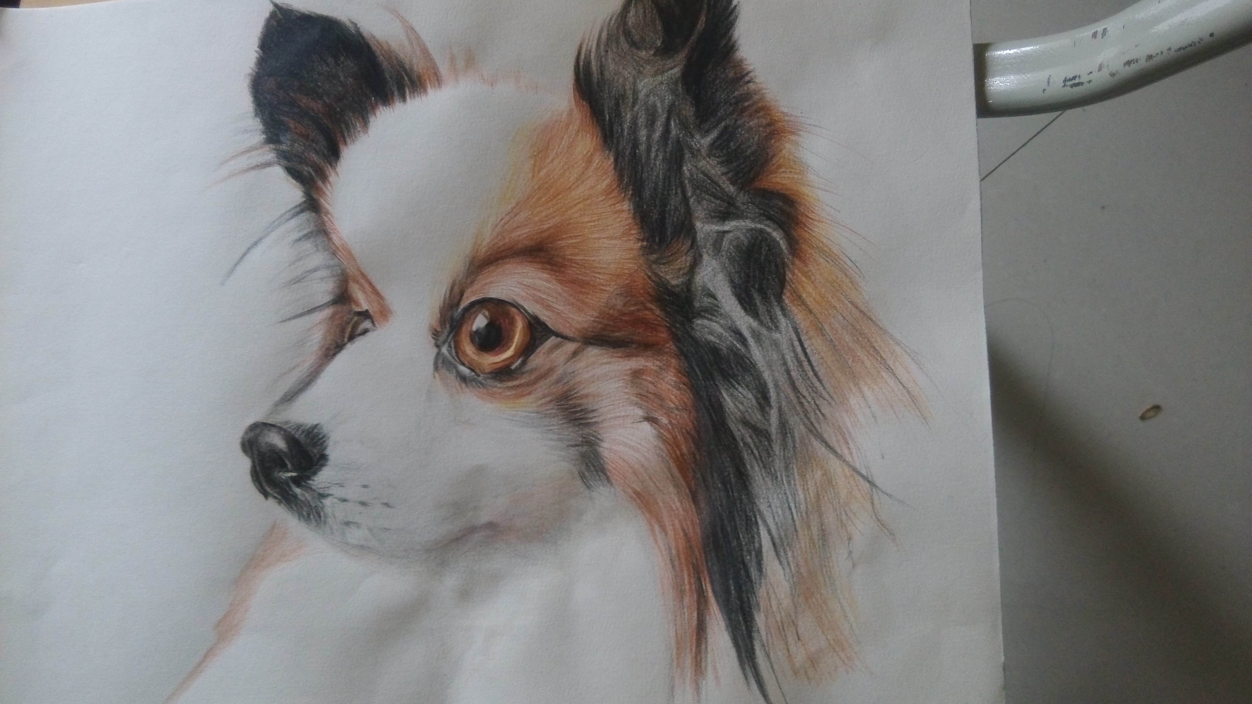 鬼脸肉嘟嘟的个人主页（背景预览） - 主页背景设置 - 站酷设计师鬼脸肉嘟嘟原创素材 - 站酷ZCOOL