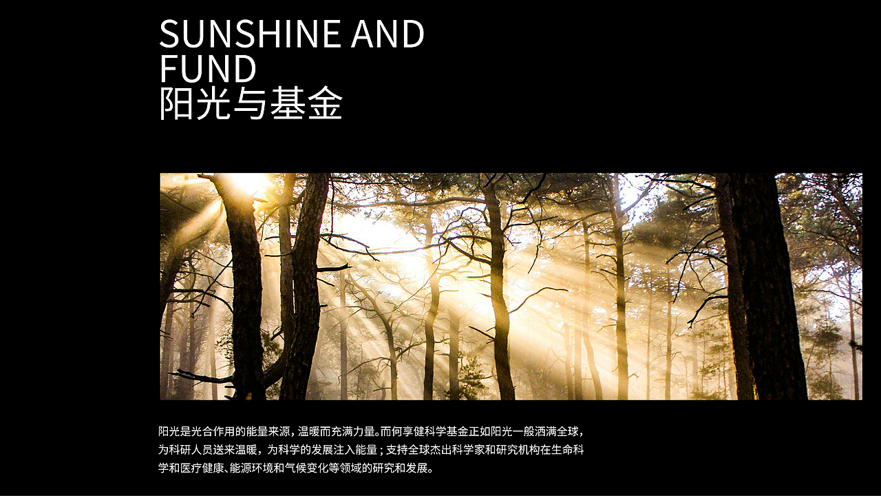 何享健科学基金LOGO设计 VI设计&Solgan提炼 基金品牌(图ZMzY5Nzc0ODIw) - Logo - 站酷设计师Tc_Cho原创素材 - 站酷ZCOOL
