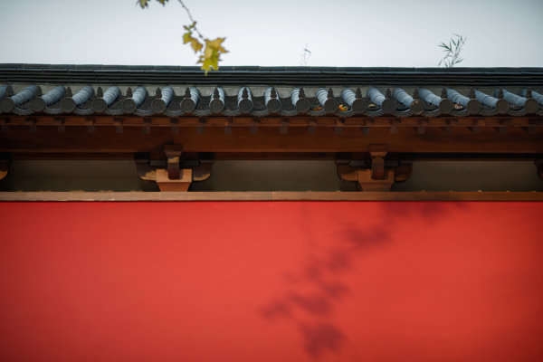 墨嵐Vizo的個(gè)人主頁(yè)（背景預(yù)覽） - 主頁(yè)背景設(shè)置 - 站酷設(shè)計(jì)師墨嵐Vizo原創(chuàng)素材 - 站酷ZCOOL