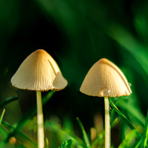 张希设计的个人主页（背景预览） - 主页背景设置 - 站酷设计师张希设计原创素材 - 站酷ZCOOL