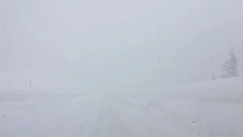 Z058093142的个人主页（背景预览） - 主页背景设置 - 站酷设计师Z058093142原创素材 - 站酷ZCOOL