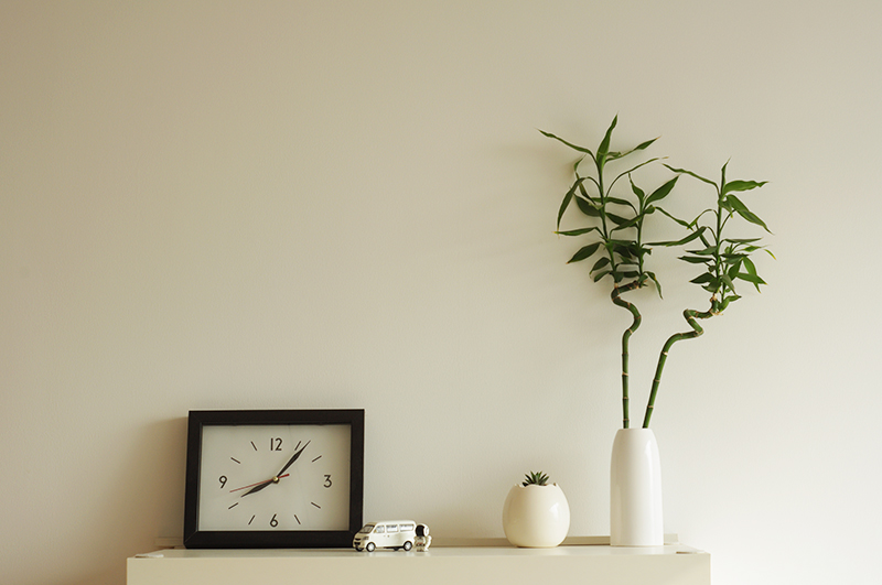 土坡儿的个人主页（背景预览） - 主页背景设置 - 站酷设计师土坡儿原创素材 - 站酷ZCOOL