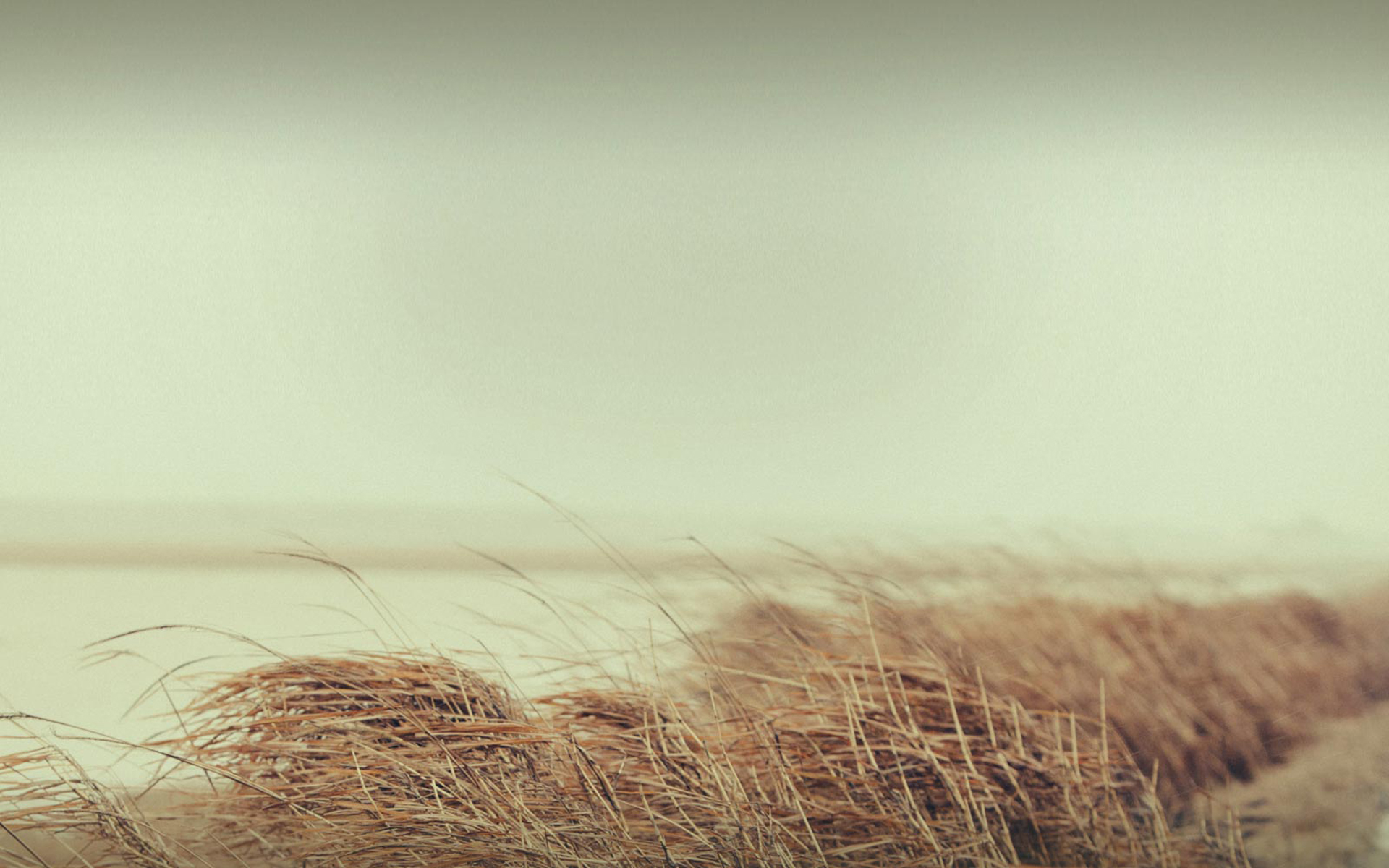 八爷的个人主页（背景预览） - 主页背景设置 - 站酷设计师八爷原创素材 - 站酷ZCOOL