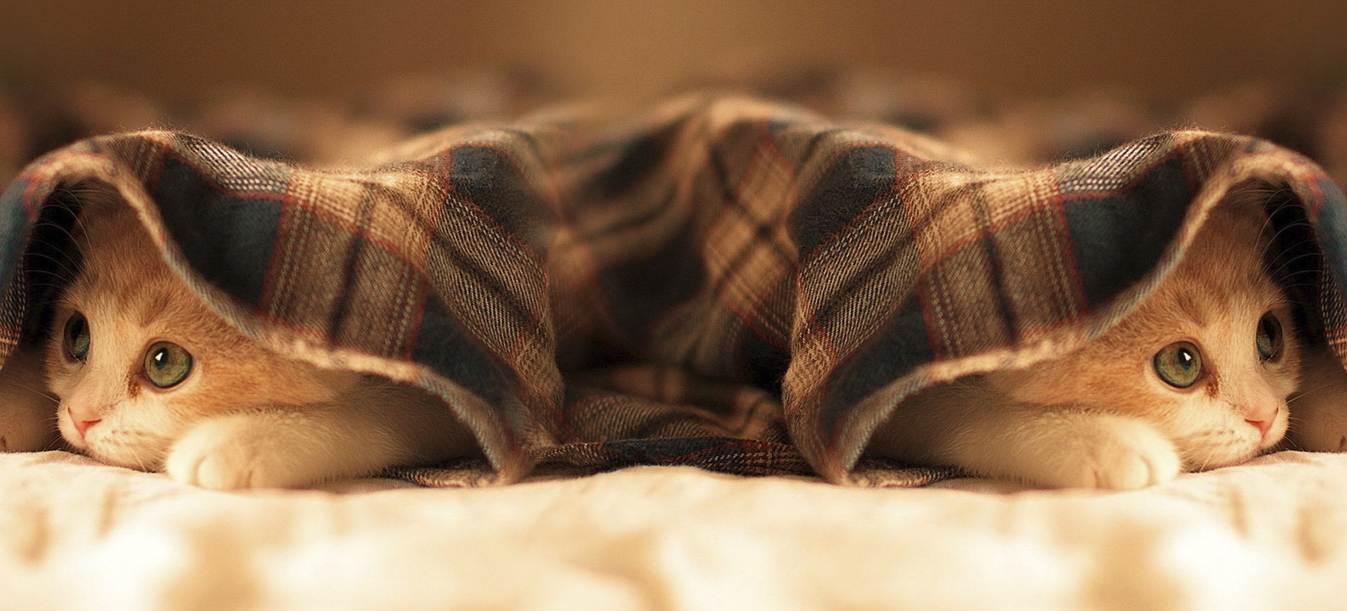 MrYuan創(chuàng)藝的個(gè)人主頁(yè)（背景預(yù)覽） - 主頁(yè)背景設(shè)置 - 站酷設(shè)計(jì)師MrYuan創(chuàng)藝原創(chuàng)素材 - 站酷ZCOOL