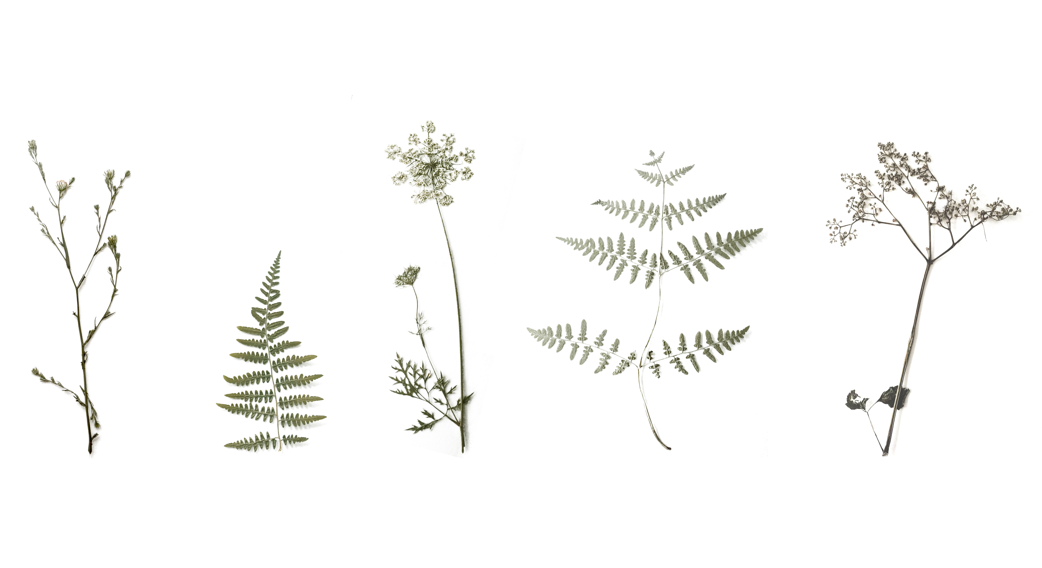 Holiday我要玩的个人主页（背景预览） - 主页背景设置 - 站酷设计师Holiday我要玩原创素材 - 站酷ZCOOL