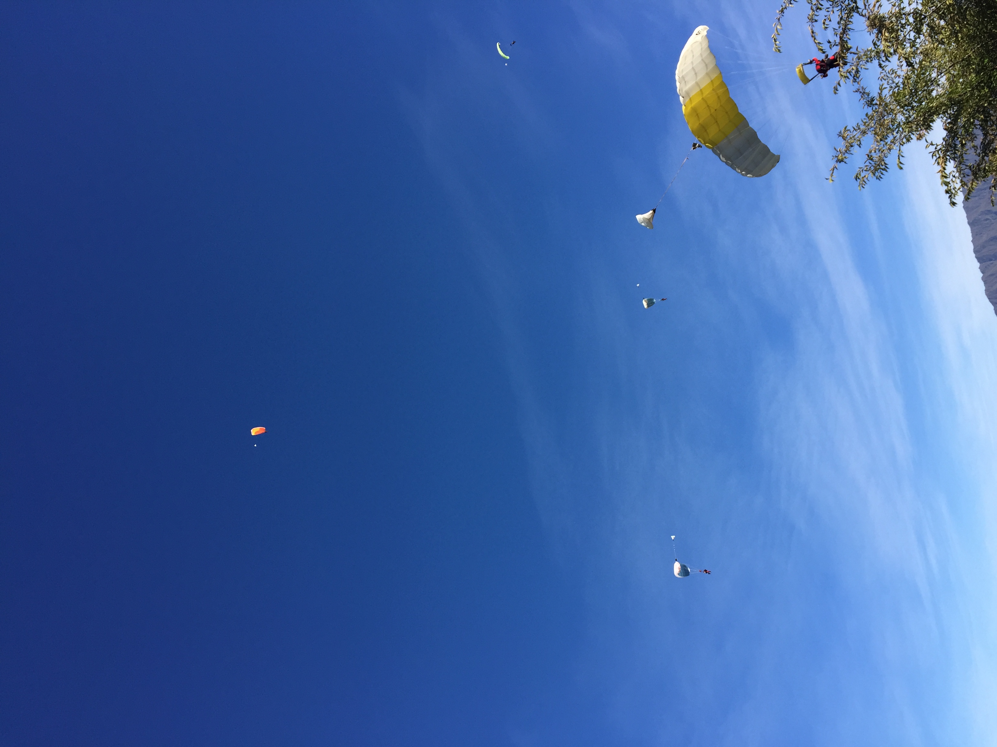 cong6016的个人主页（背景预览） - 主页背景设置 - 站酷设计师cong6016原创素材 - 站酷ZCOOL