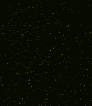 FIREFLY_LU的个人主页（背景预览） - 主页背景设置 - 站酷设计师FIREFLY_LU原创素材 - 站酷ZCOOL