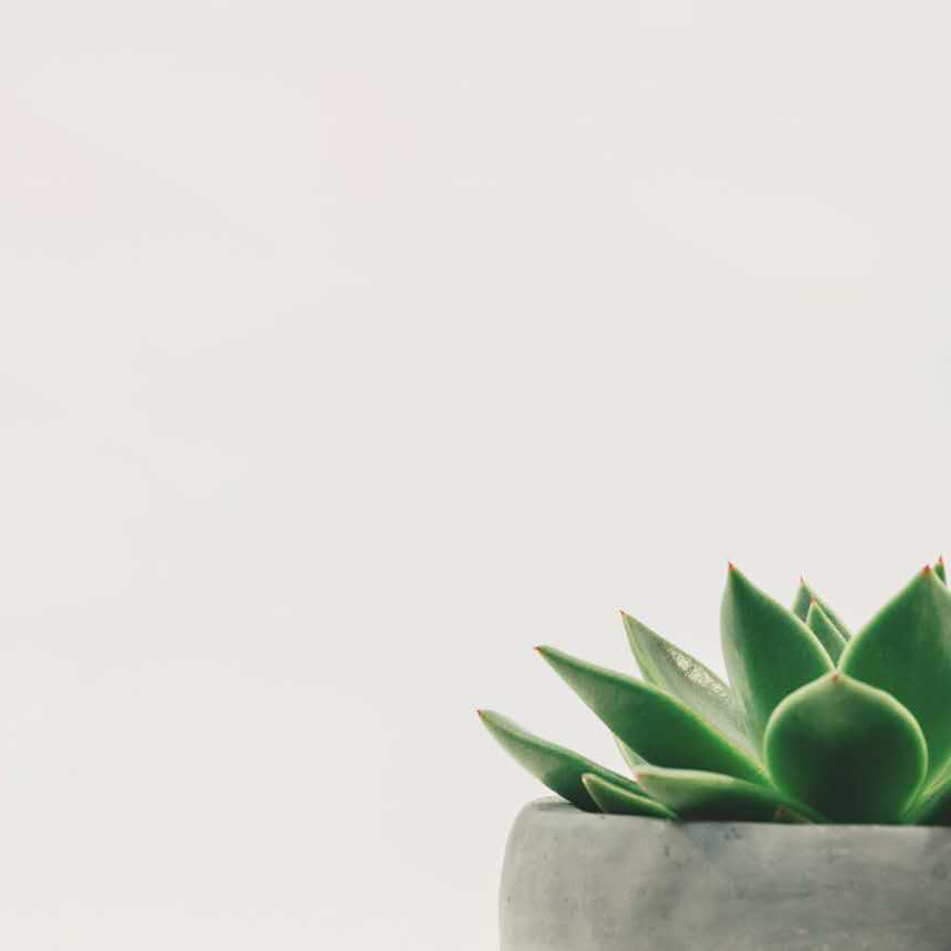 PinnacleSheng的个人主页（背景预览） - 主页背景设置 - 站酷设计师PinnacleSheng原创素材 - 站酷ZCOOL