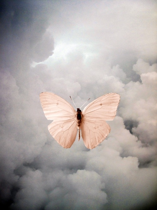 queenie003的個(gè)人主頁(yè)（背景預(yù)覽） - 主頁(yè)背景設(shè)置 - 站酷設(shè)計(jì)師queenie003原創(chuàng)素材 - 站酷ZCOOL