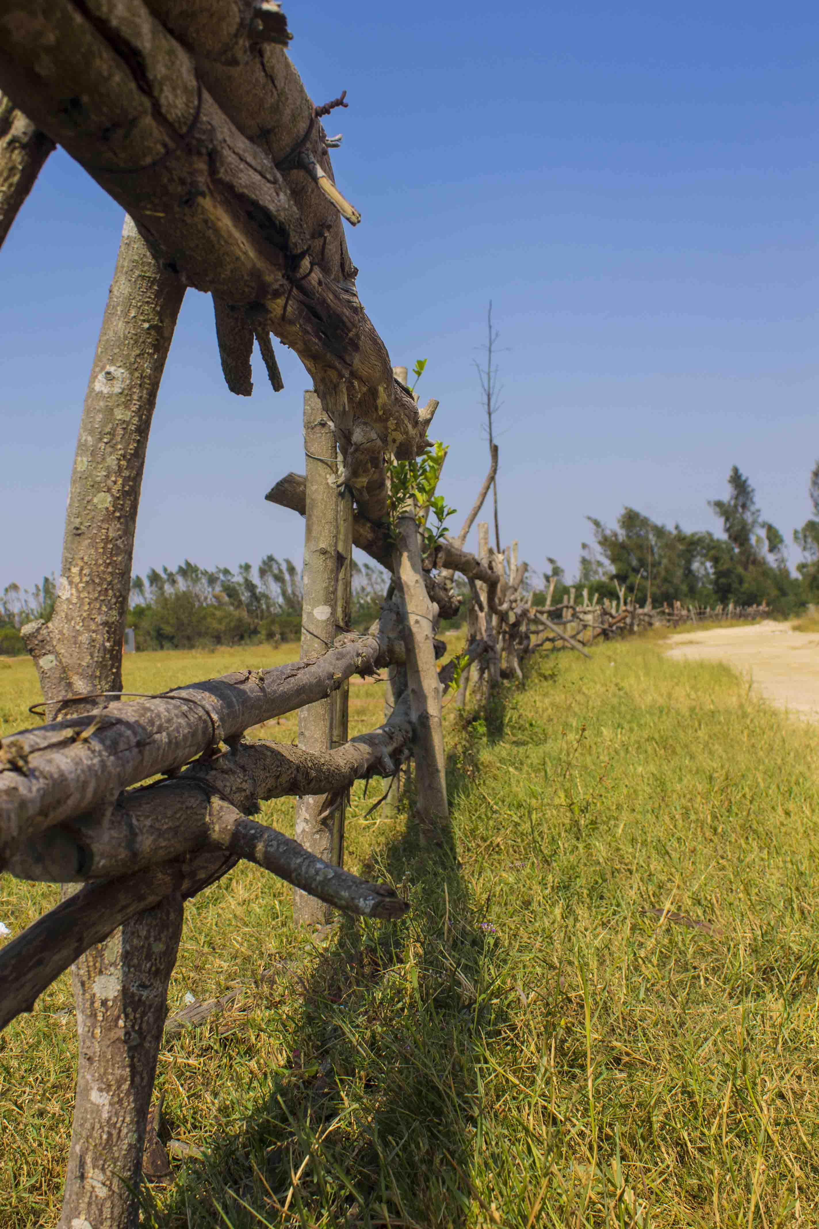 LPLFinan的個(gè)人主頁（背景預(yù)覽） - 主頁背景設(shè)置 - 站酷設(shè)計(jì)師LPLFinan原創(chuàng)素材 - 站酷ZCOOL