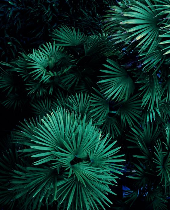 wangying0123的個(gè)人主頁(yè)（背景預(yù)覽） - 主頁(yè)背景設(shè)置 - 站酷設(shè)計(jì)師wangying0123原創(chuàng)素材 - 站酷ZCOOL