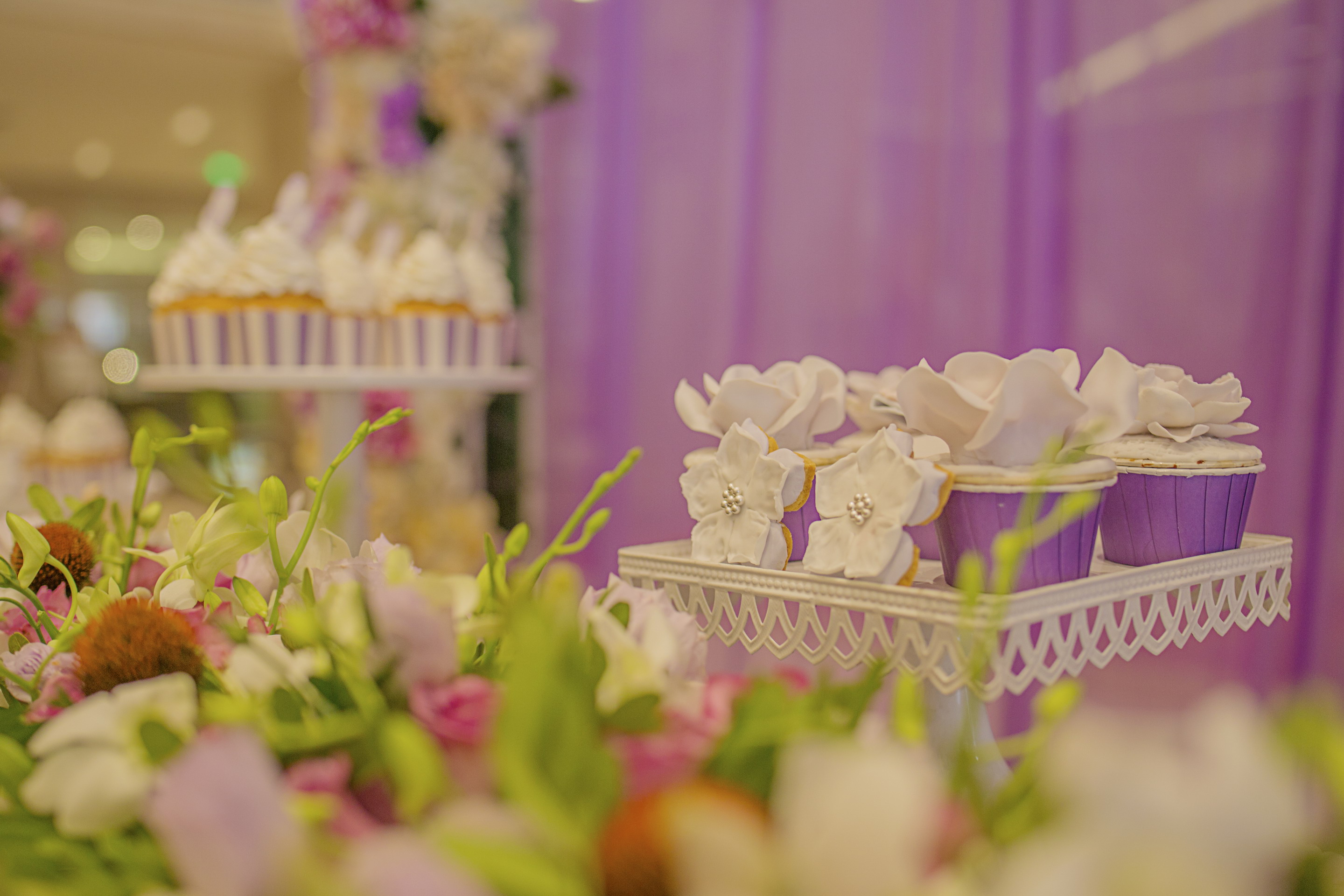 不知名摄影师TT的个人主页（背景预览） - 主页背景设置 - 站酷设计师不知名摄影师TT原创素材 - 站酷ZCOOL