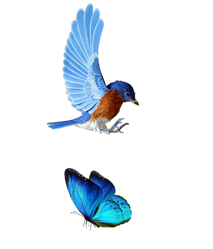 哥哥蒙恬Myi的个人主页（背景预览） - 主页背景设置 - 站酷设计师哥哥蒙恬Myi原创素材 - 站酷ZCOOL