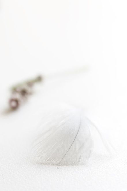 luojiaoann的个人主页（背景预览） - 主页背景设置 - 站酷设计师luojiaoann原创素材 - 站酷ZCOOL