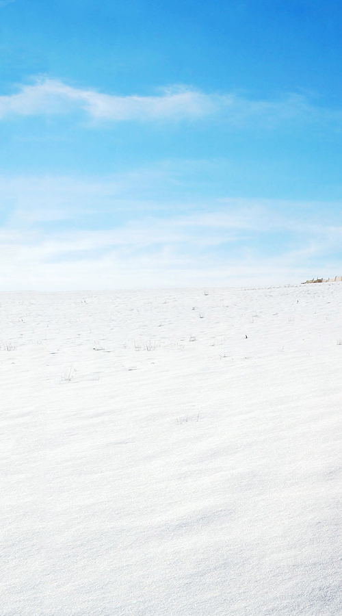 zrs小鄒的個(gè)人主頁（背景預(yù)覽） - 主頁背景設(shè)置 - 站酷設(shè)計(jì)師zrs小鄒原創(chuàng)素材 - 站酷ZCOOL