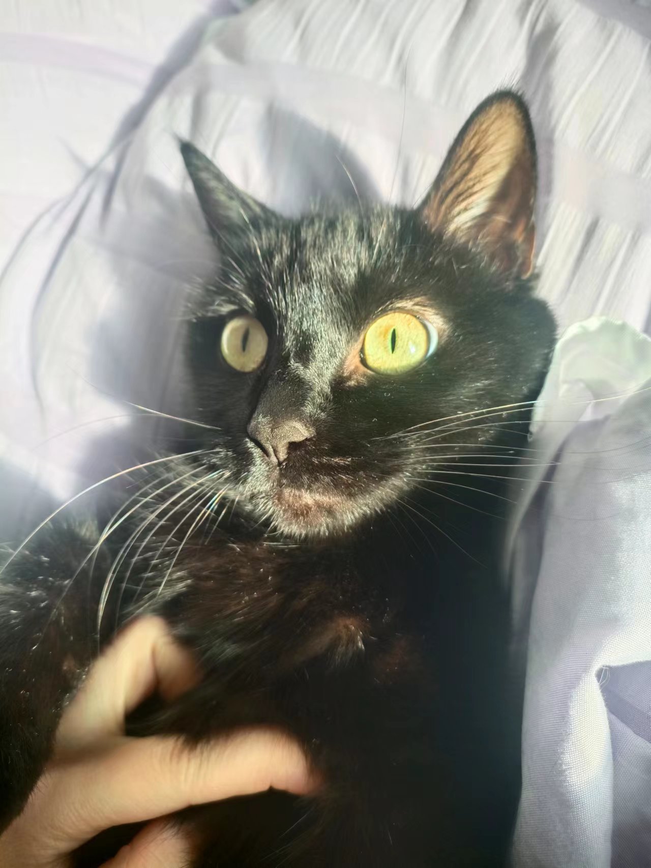 小紅花日記的個人主頁（背景預覽） - 主頁背景設(shè)置 - 站酷設(shè)計師小紅花日記原創(chuàng)素材 - 站酷ZCOOL