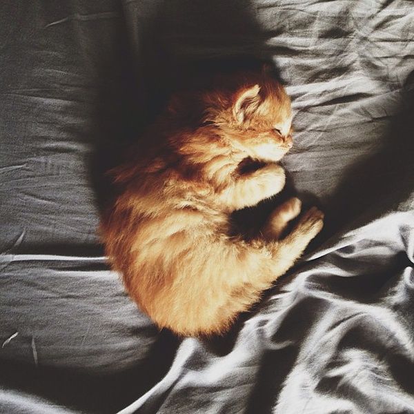 方圓幾里er的個人主頁（背景預覽） - 主頁背景設置 - 站酷設計師方圓幾里er原創(chuàng)素材 - 站酷ZCOOL