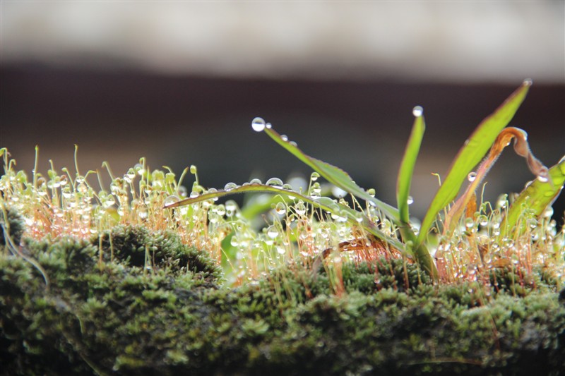 5umm1r的個人主頁（背景預(yù)覽） - 主頁背景設(shè)置 - 站酷設(shè)計師5umm1r原創(chuàng)素材 - 站酷ZCOOL