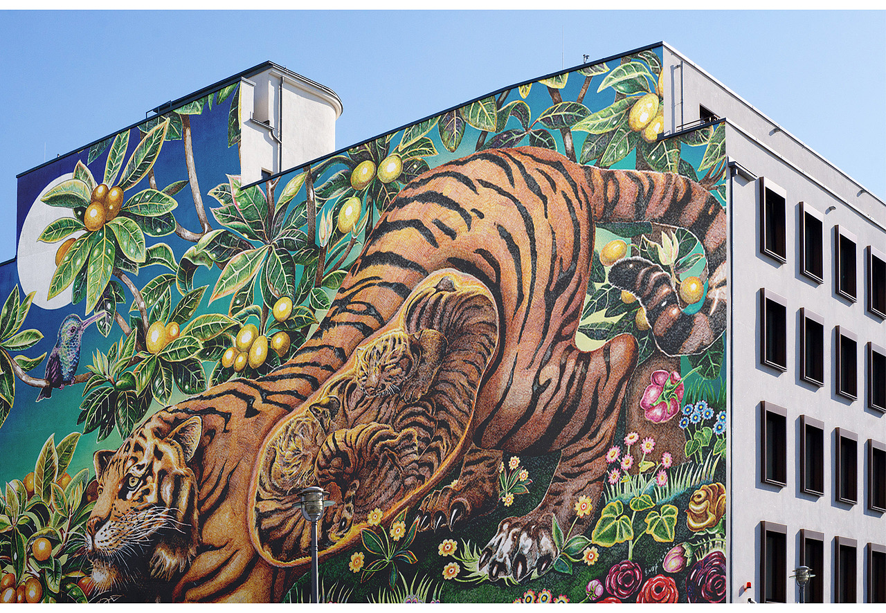 孕育——虎妈妈